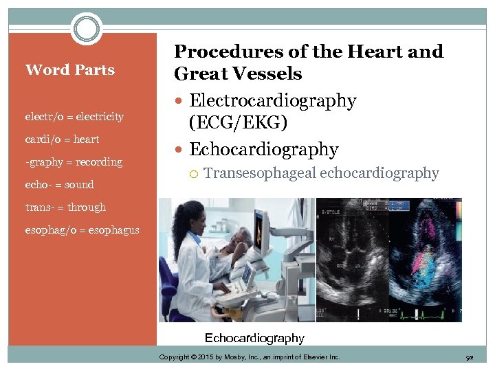 Word Parts electr/o = electricity cardi/o = heart -graphy = recording echo- = sound