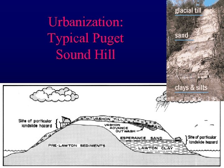 Urbanization: Typical Puget Sound Hill 