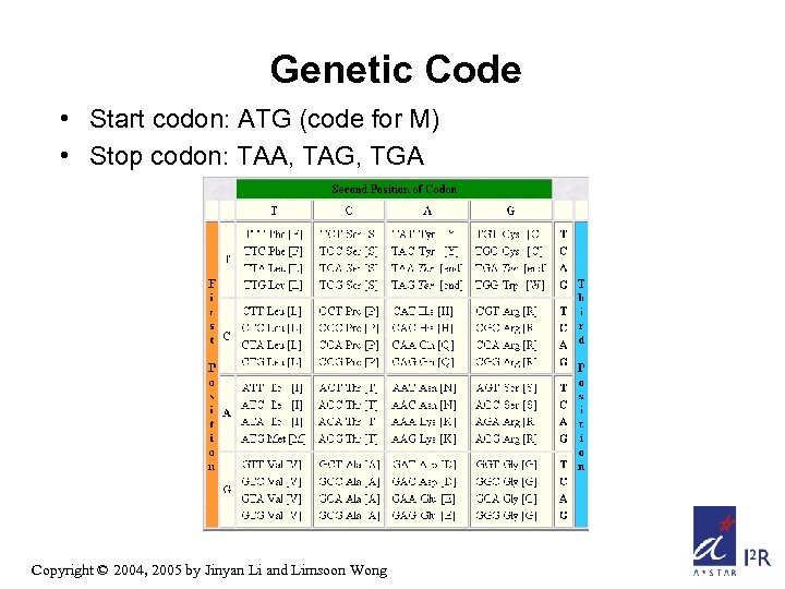 Genetic Code • Start codon: ATG (code for M) • Stop codon: TAA, TAG,