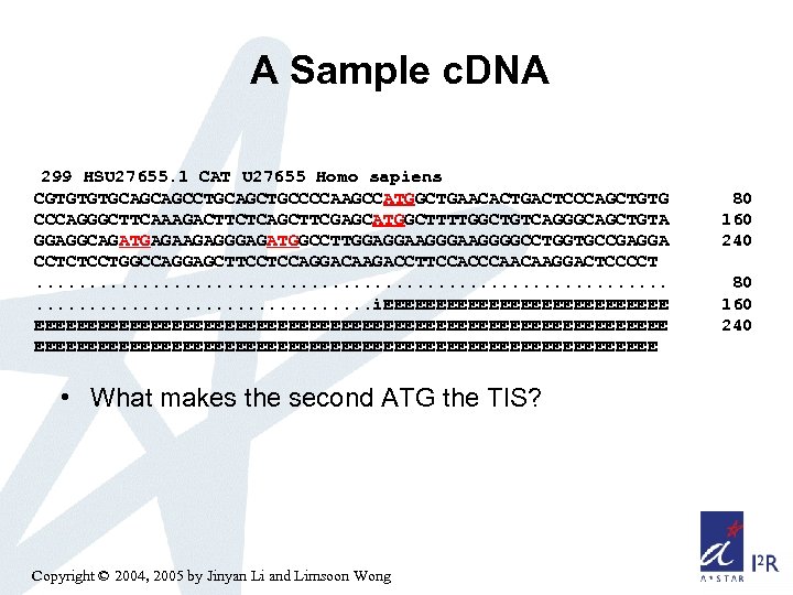 A Sample c. DNA 299 HSU 27655. 1 CAT U 27655 Homo sapiens CGTGTGTGCAGCAGCCTGCAGCTGCCCCAAGCCATGGCTGAACACTGACTCCCAGCTGTG