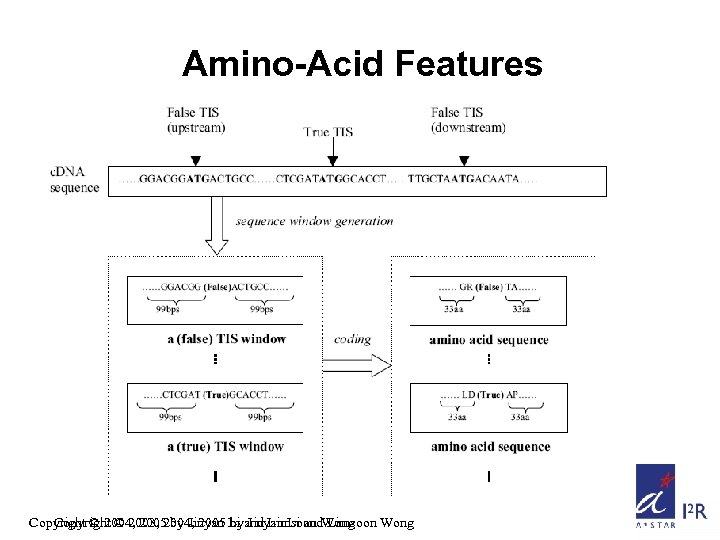 Amino-Acid Features Copyright © 2004, 2005 by Jinyan Li and Limsoon Wong Copyright ©