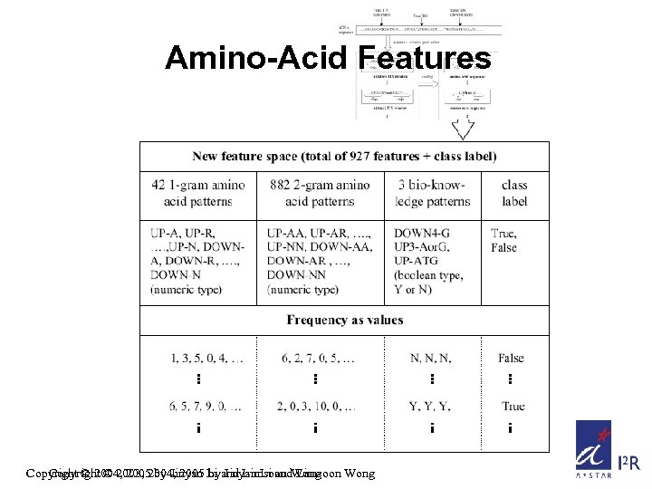 Amino-Acid Features Copyright © 2004, 2005 by Jinyan Li and Limsoon Wong Copyright ©