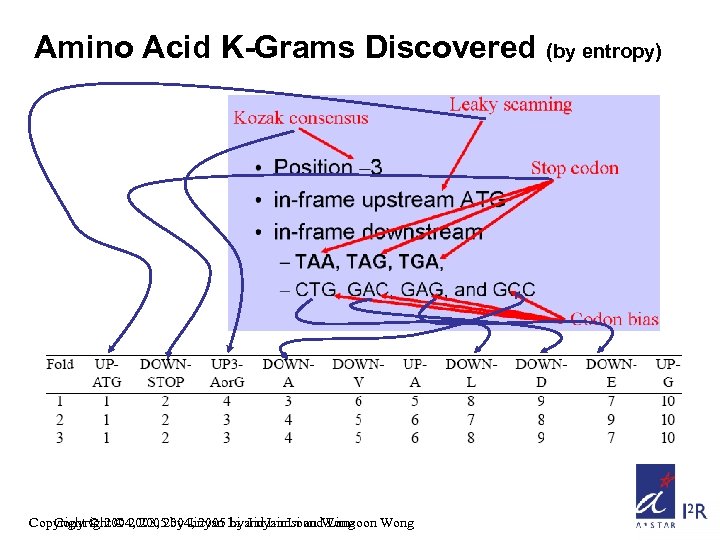 Amino Acid K-Grams Discovered (by entropy) Copyright © 2004, 2005 by Jinyan Li and