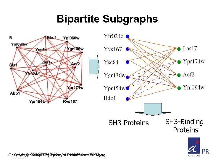 Bipartite Subgraphs SH 3 Proteins Copyright © 2004, 2005 by Jinyan andand Limsoon Wong