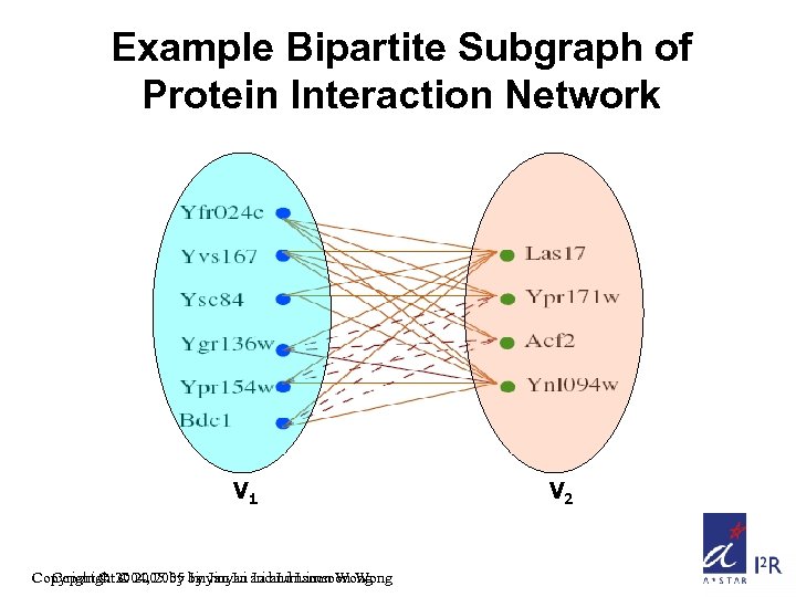Example Bipartite Subgraph of Protein Interaction Network V 1 Copyright © 2004, 2005 by