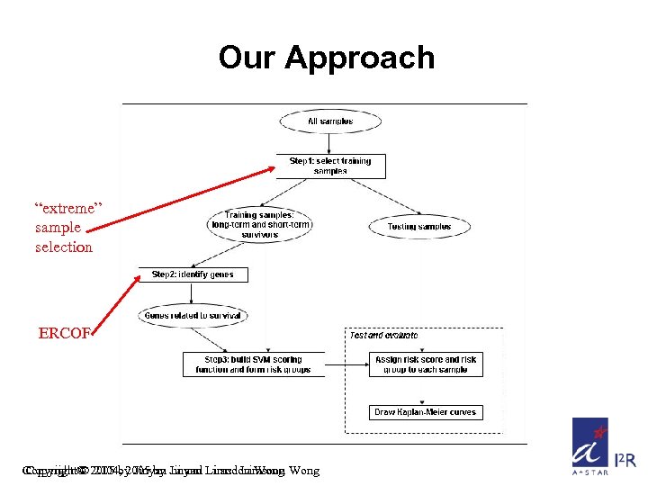 Our Approach “extreme” sample selection ERCOF Copyright © 2005 by Jinyan Li and Limsoon
