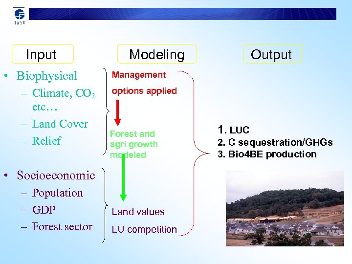 Input • Biophysical – Climate, CO 2 etc… – Land Cover – Relief Modeling