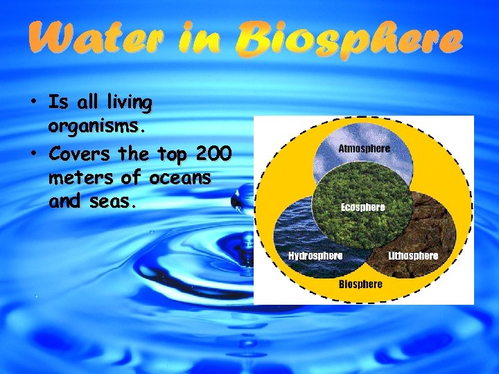  • Is all living organisms. • Covers the top 200 meters of oceans