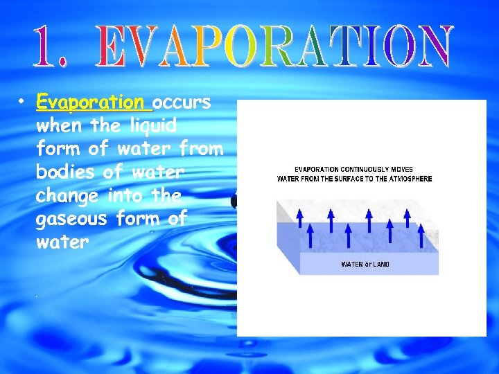  • Evaporation occurs when the liquid form of water from bodies of water