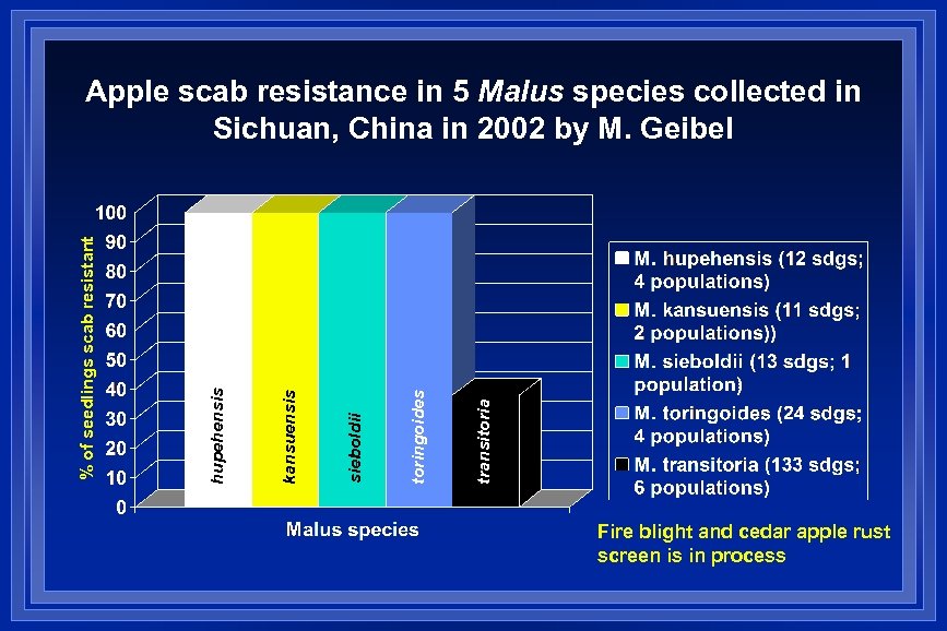 transitoria toringoides sieboldii kansuensis hupehensis % of seedlings scab resistant Apple scab resistance in