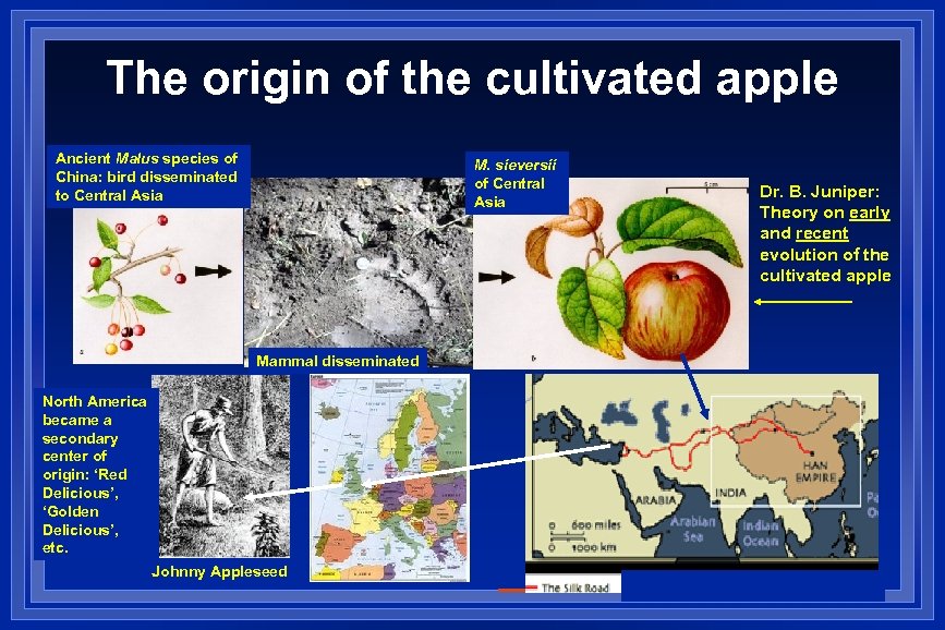 The origin of the cultivated apple Ancient Malus species of China: bird disseminated to