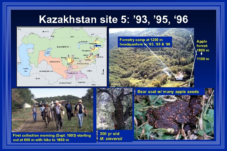 Kazakhstan site 5: ’ 93, ’ 95, ‘ 96 Forestry camp at 1200 m