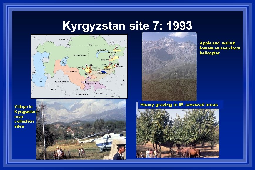 Kyrgyzstan site 7: 1993 Apple and walnut forests as seen from helicopter Village in