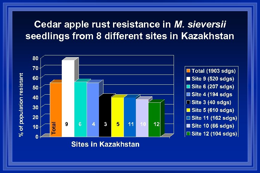 Total % of population resistant Cedar apple rust resistance in M. sieversii seedlings from
