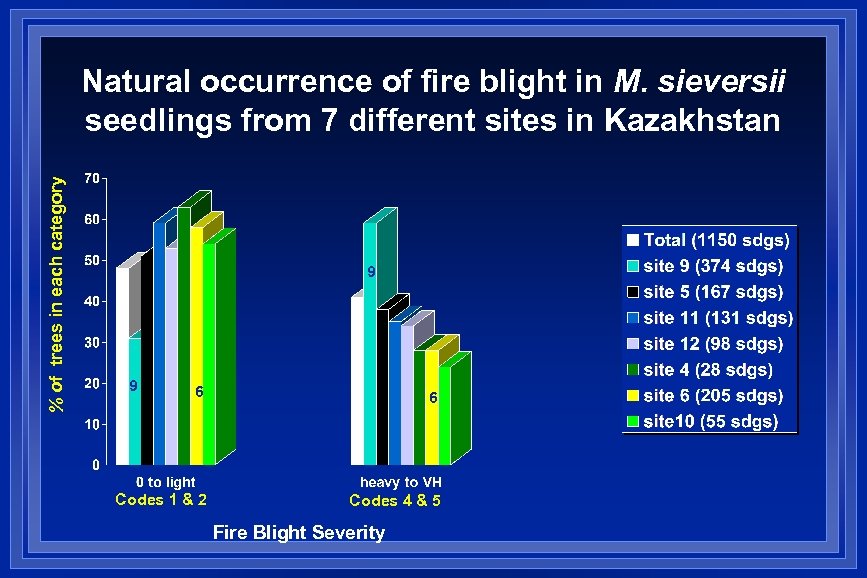 % of trees in each category Natural occurrence of fire blight in M. sieversii
