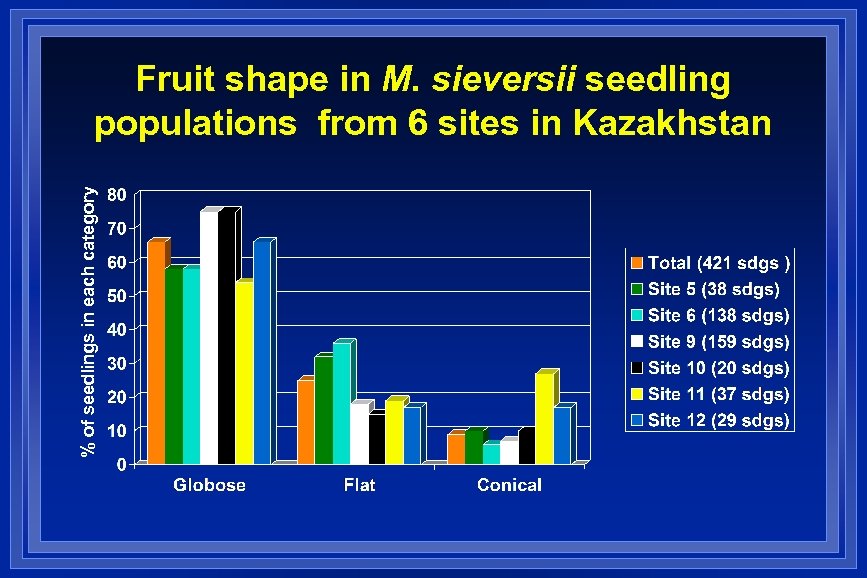 % of seedlings in each category Fruit shape in M. sieversii seedling populations from