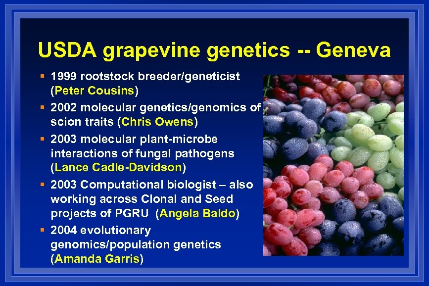 USDA grapevine genetics -- Geneva § 1999 rootstock breeder/geneticist (Peter Cousins) § 2002 molecular