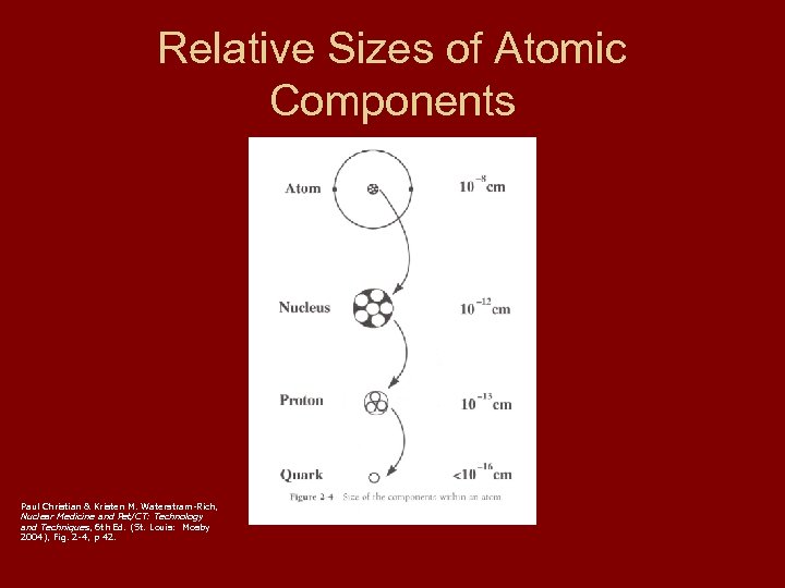 Relative Sizes of Atomic Components Paul Christian & Kristen M. Waterstram-Rich, Nuclear Medicine and