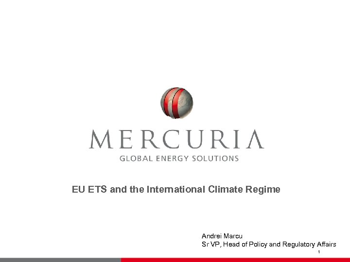 EU ETS and the International Climate Regime Andrei Marcu Sr VP, Head of Policy