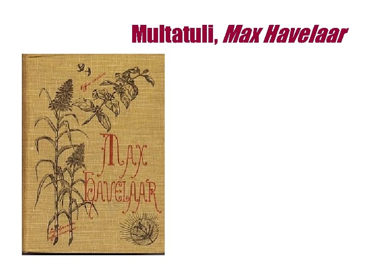 Multatuli, Max Havelaar 