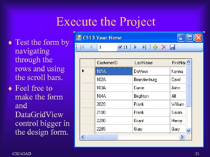Execute the Project ¨ Test the form by navigating through the rows and using