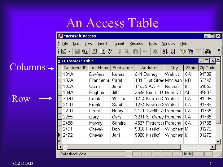 An Access Table Columns Row CIS 162 AD 6 