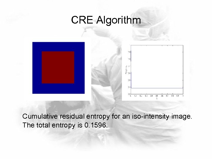 CRE Algorithm Cumulative residual entropy for an iso-intensity image. The total entropy is 0.