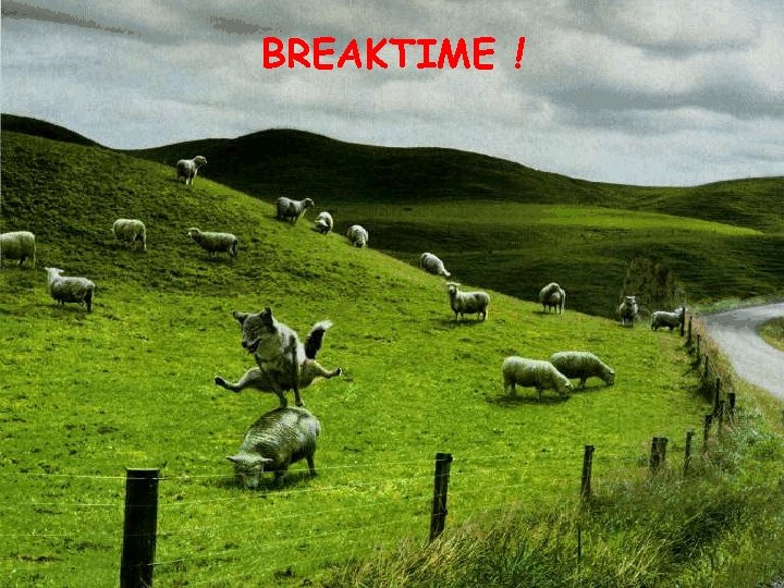 BREAKTIME ! 
