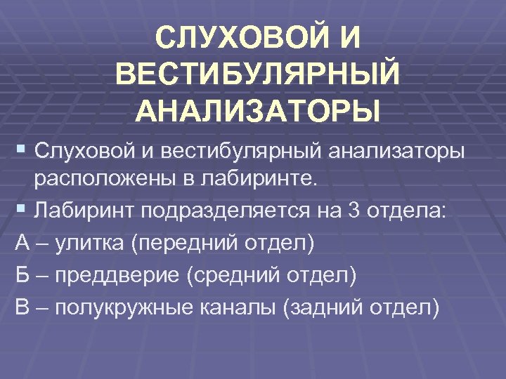 СЛУХОВОЙ И ВЕСТИБУЛЯРНЫЙ АНАЛИЗАТОРЫ § Слуховой и вестибулярный анализаторы расположены в лабиринте. § Лабиринт