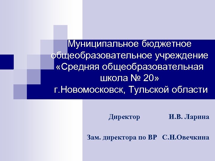 Муниципальное бюджетное общеобразовательное учреждение «Средняя общеобразовательная школа № 20» г. Новомосковск, Тульской области Директор