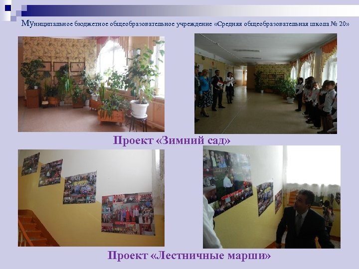 Муниципальное бюджетное общеобразовательное учреждение «Средняя общеобразовательная школа № 20» Проект «Зимний сад» Проект «Лестничные