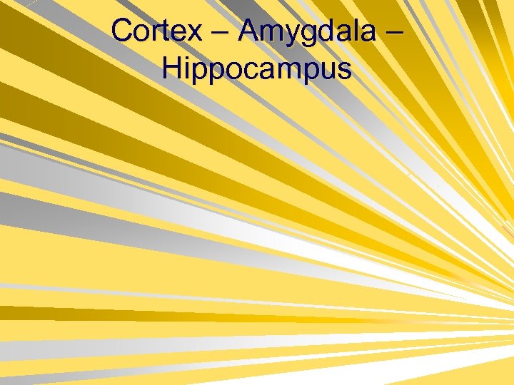 Cortex – Amygdala – Hippocampus 