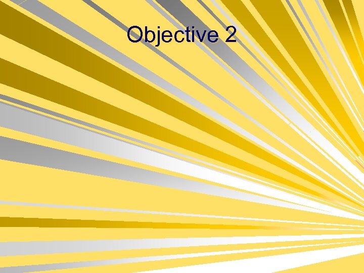 Objective 2 