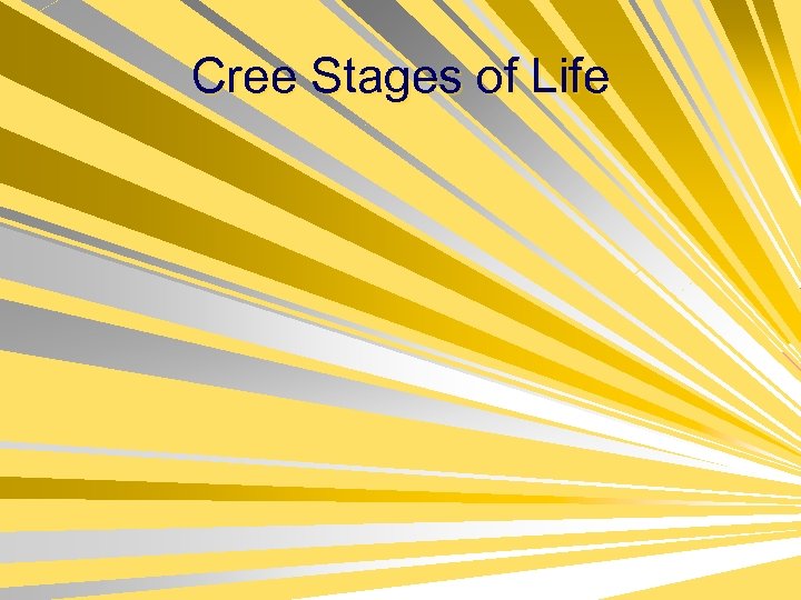 Cree Stages of Life 