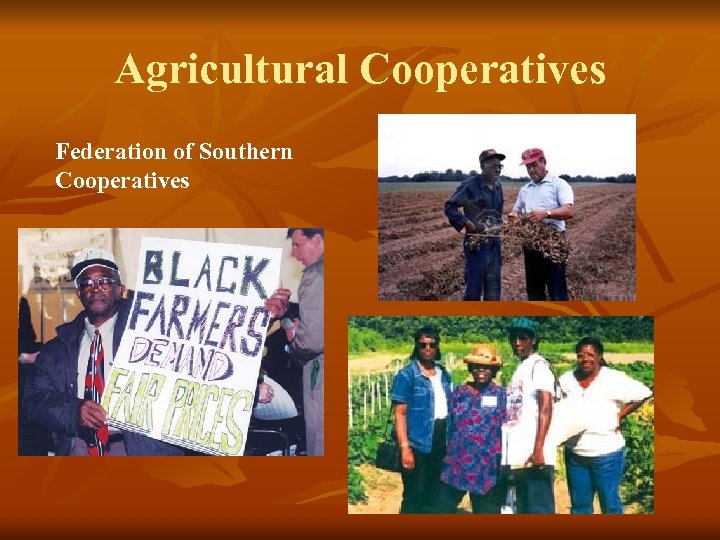 Agricultural Cooperatives Federation of Southern Cooperatives 