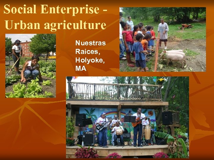 Social Enterprise Urban agriculture Nuestras Raices, Holyoke, MA 