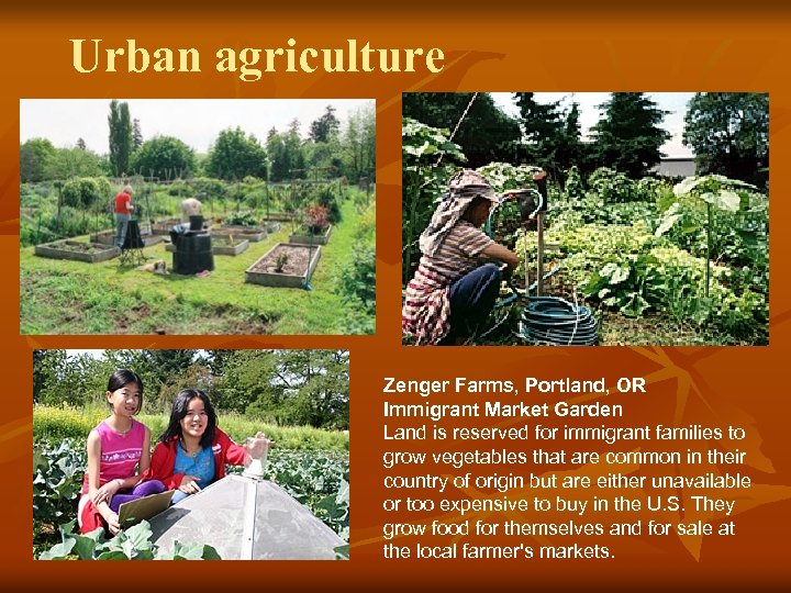 Urban agriculture Zenger Farms, Portland, OR Immigrant Market Garden Land is reserved for immigrant