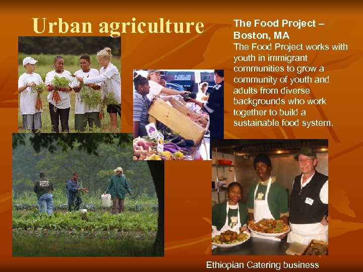 Urban agriculture The Food Project – Boston, MA The Food Project works with youth