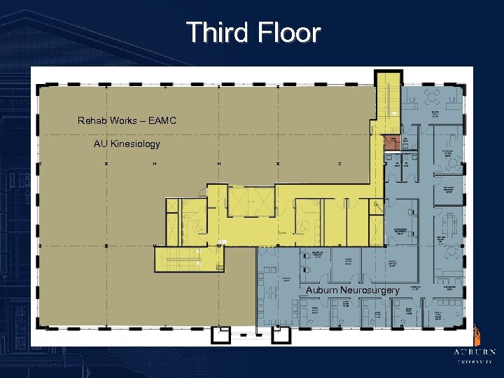 Third Floor Rehab Works – EAMC AU Kinesiology Auburn Neurosurgery 