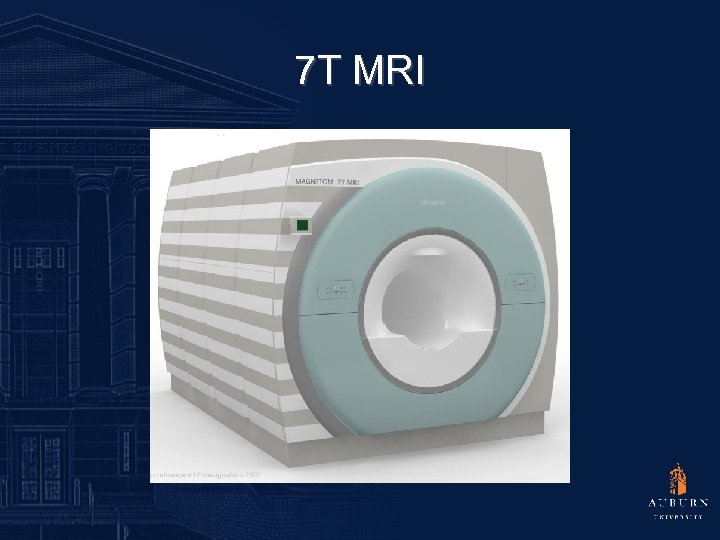 7 T MRI 