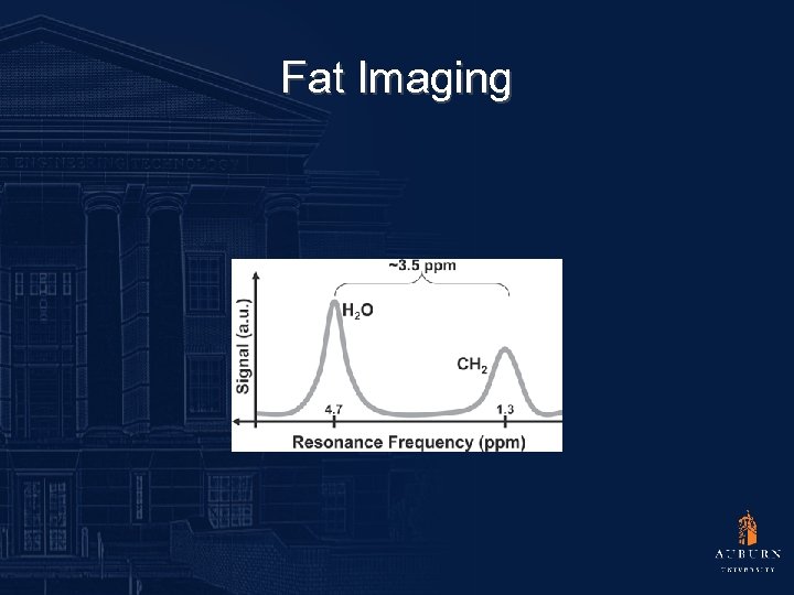 Fat Imaging 