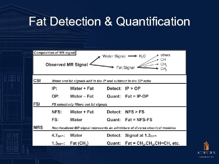 Fat Detection & Quantification 