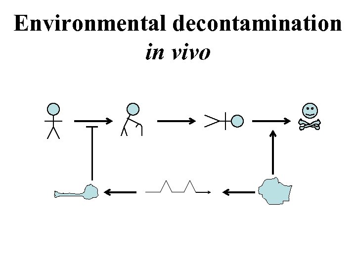 Environmental decontamination in vivo 