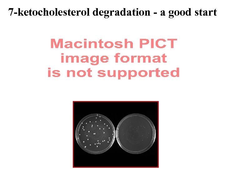 7 -ketocholesterol degradation - a good start 