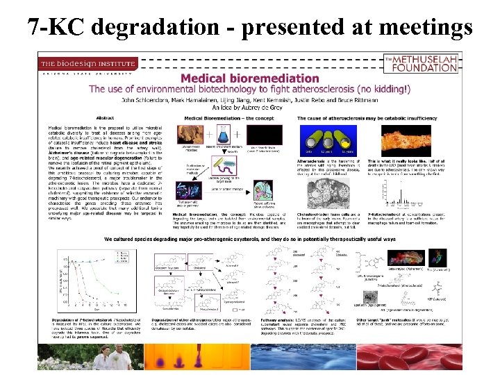7 -KC degradation - presented at meetings 