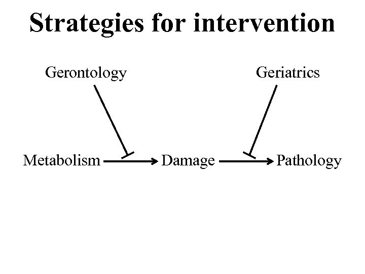 Strategies for intervention Gerontology Metabolism Geriatrics Damage Pathology 