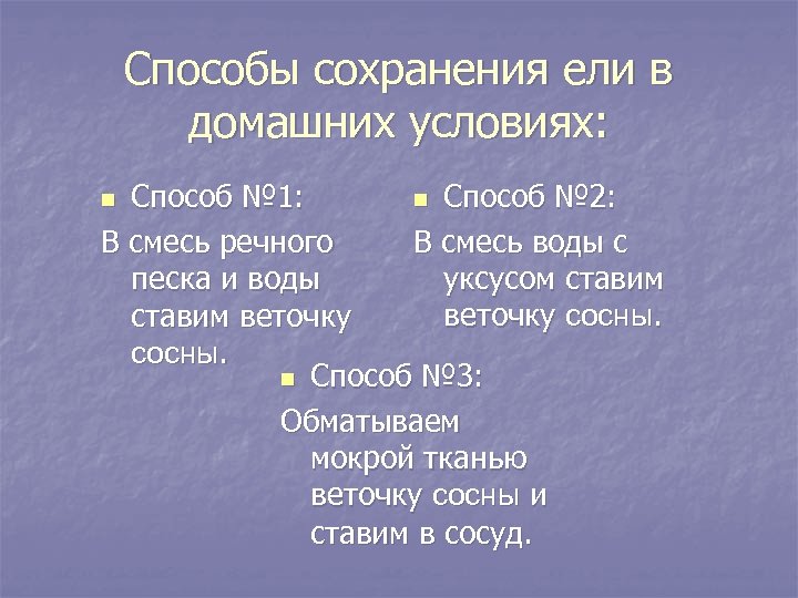 Способы сохранения ели в домашних условиях: Способ № 1: n Способ № 2: В