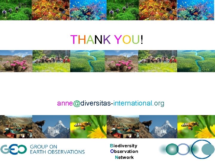 THANK YOU! anne@diversitas-international. org Biodiversity Observation Network 