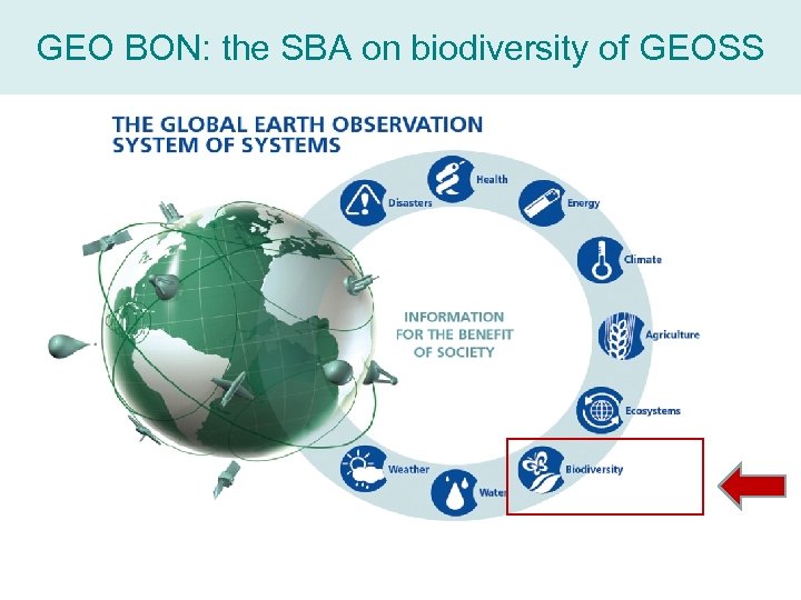 GEO BON: the SBA on biodiversity of GEOSS 