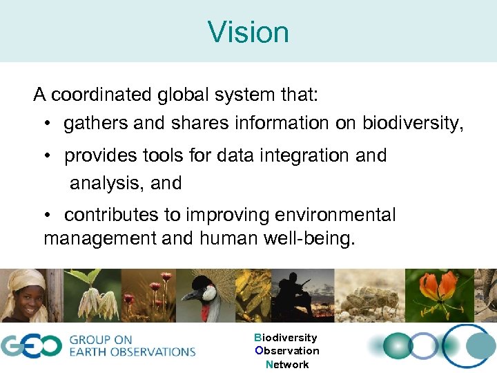 Vision A coordinated global system that: • gathers and shares information on biodiversity, •